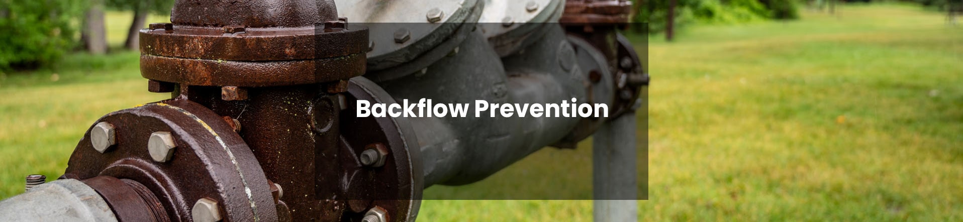 backflow